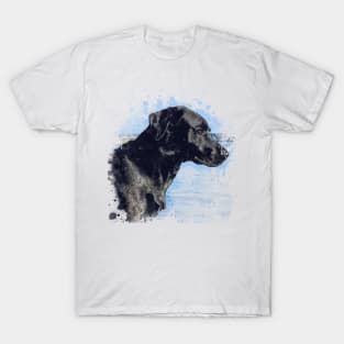 Black dog T-Shirt